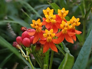 PB191388a.jpg